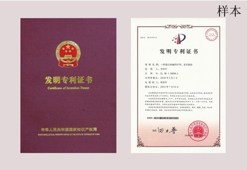 實(shí)用新型專(zhuān)利