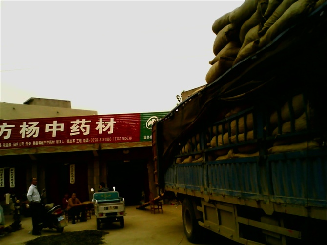 產(chǎn)地直銷：黑桑葚統(tǒng)裝，手工選裝，黃桑葚，大貨