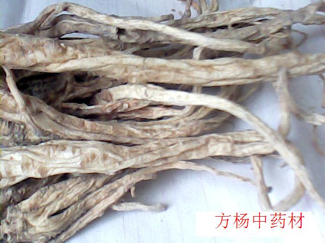 產地供應帶皮干桔梗個，帶皮斜片，鮮桔梗，桔梗絲，桔梗種子，桔梗皮等各種規格的桔梗。