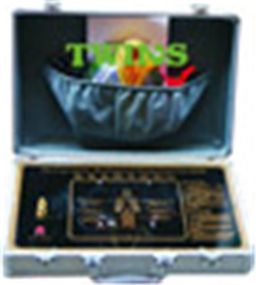 全息生物电检测仪 身体全科检测仪