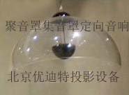 供應(yīng)優(yōu)迪特聚音罩定向音響