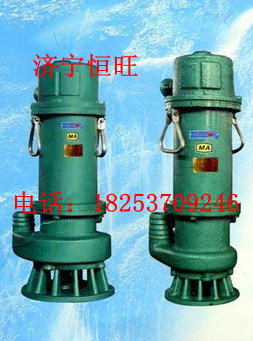 BQS2.2kw防爆潛水電泵