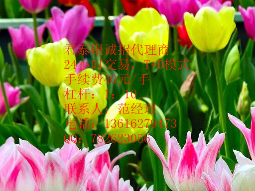 君泰銀，代理君泰，現貨白銀代理，現貨白銀投資，貴金屬投資，貴金屬代理，無錫君泰代理   蘇州君泰綜合會員誠招代理  君泰代理君泰招商 君泰可以代理嗎 君泰總招商 君泰代理咨詢貴金屬加盟原始圖片3