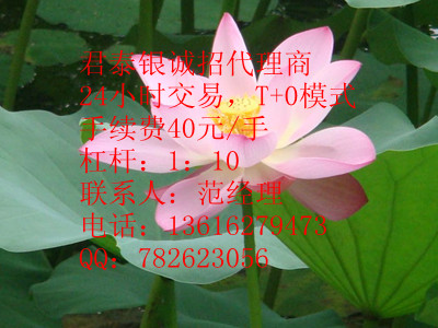 君泰銀，君泰金，現貨白銀，貴金屬，君泰銀代理，君泰銀投資，白銀投資原始圖片3
