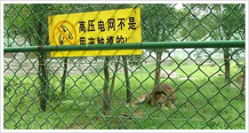 供應機械設備的防護網，建筑工地圍欄網，包塑勾花網，動物園圍欄網